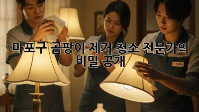 마포구 곰팡이 제거 청소🚨 전문가의 비밀 공개!