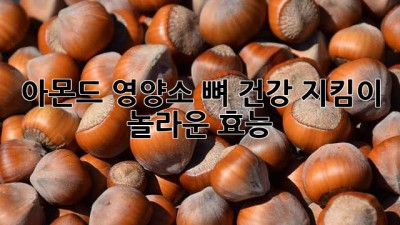 아몬드 영양소: 뼈 건강 지킴이, 놀라운 효능